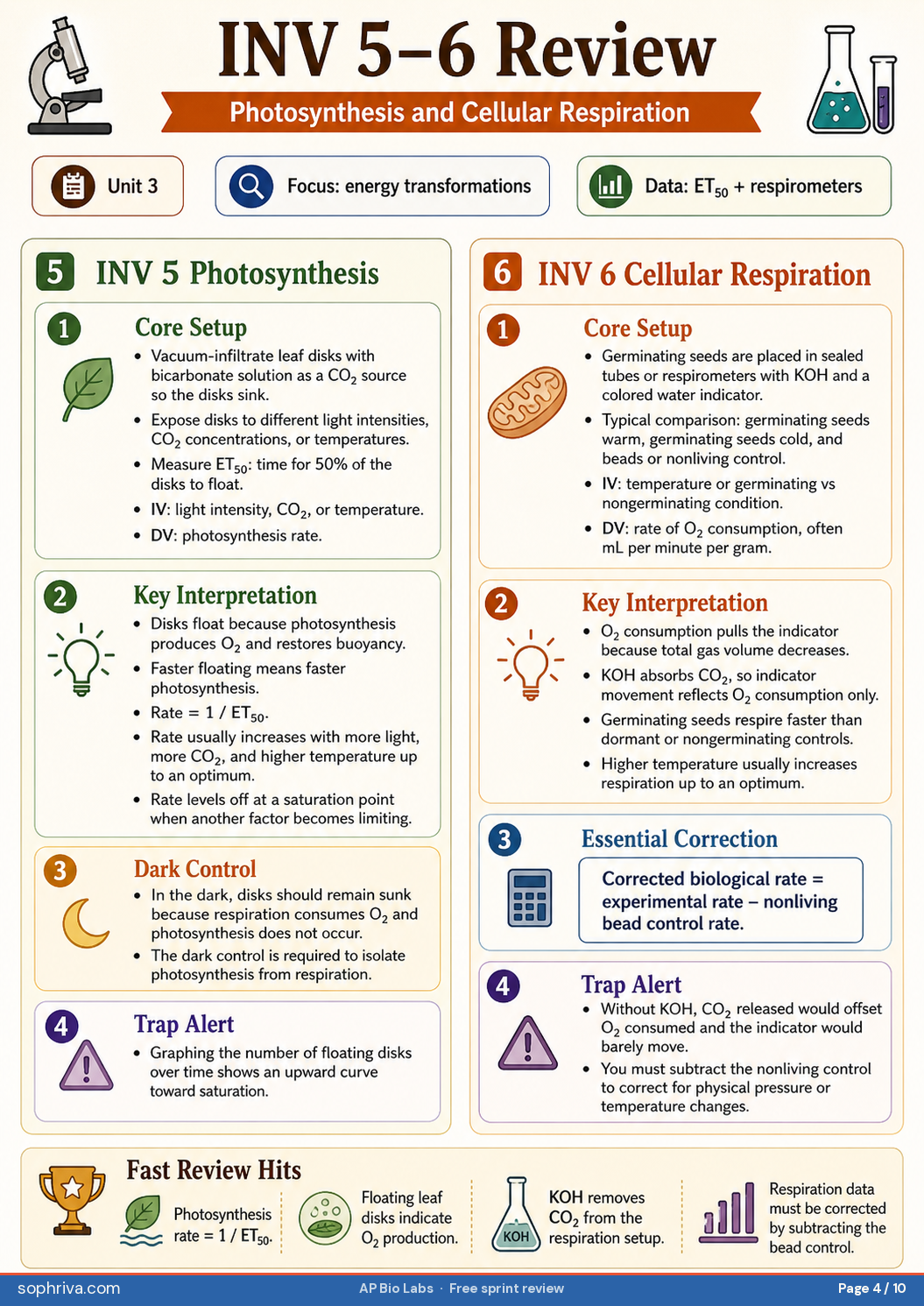 INV 5–6: Photosynthesis + Cellular Respiration: Floating leaf disk assay and respirometer assays — energy in vs energy out.