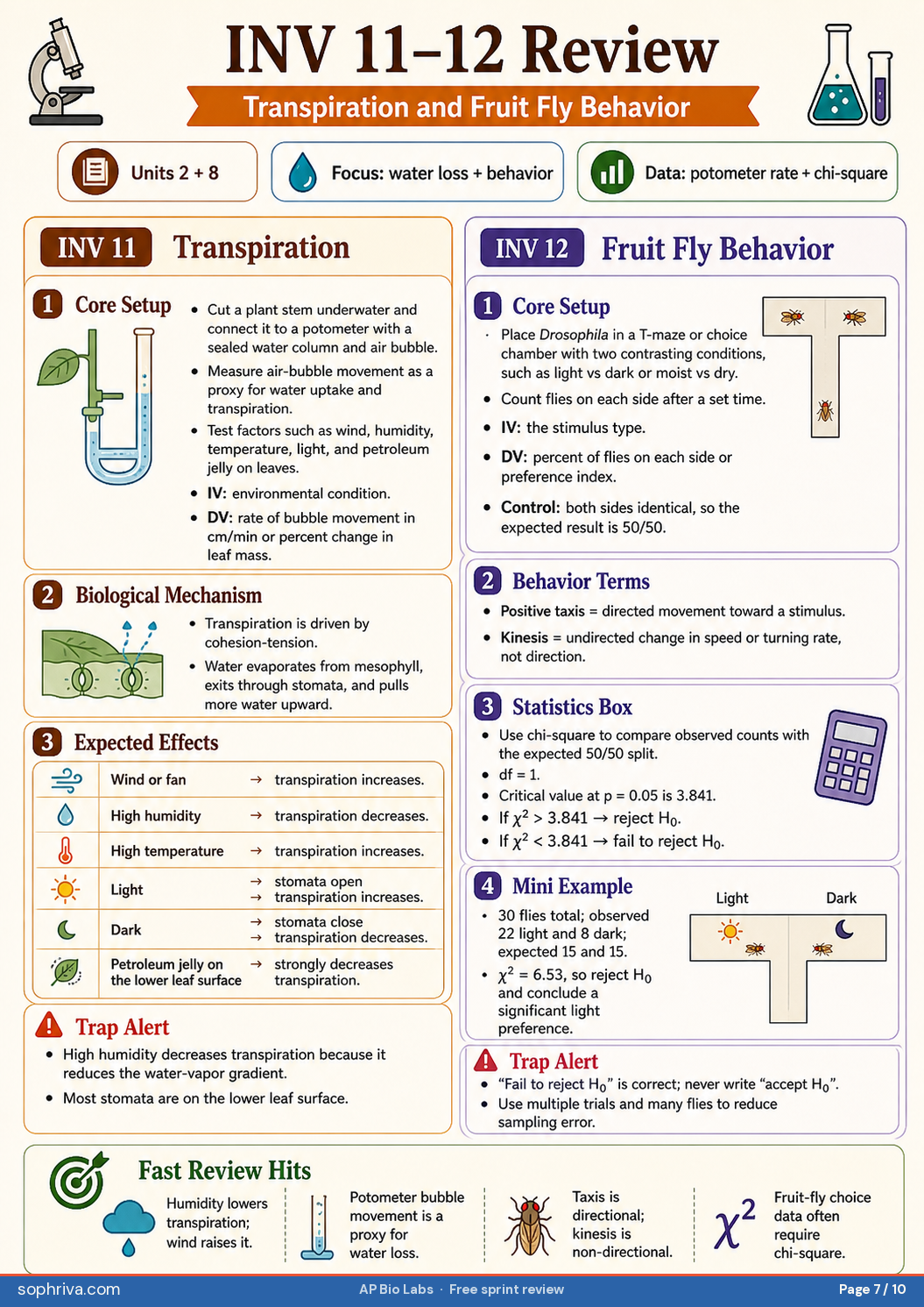 INV 11: Transpiration: Potometer experiment, environmental factors, and water-loss rate calculations.