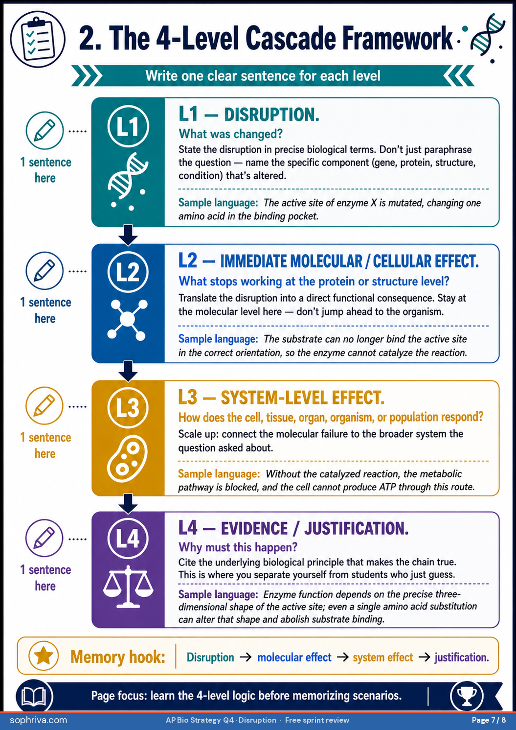 Verb-specific Q4 response patterns and sufficient versus insufficient one-liners. Predict: state the outcome plus minimal mechanism. Explain: full mechanism chain. Justify: chain plus evidence-based reasoning. Pair examples contrast vague language ('the cell is affected') with rubric-earning language ('without the active site, the substrate cannot bind, so the reaction does not proceed').