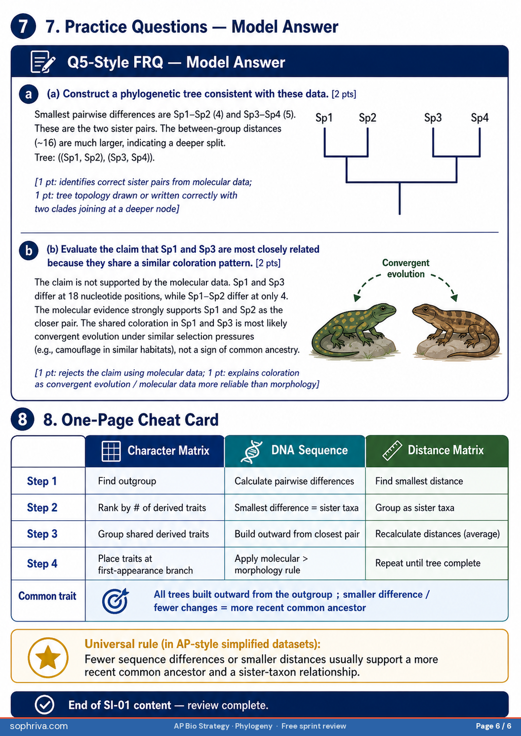 Practice questions and one-page cheat card. MCQ practice: choosing tree topology from a character matrix. Q5-style FRQ: salamander pairwise differences, evaluating a coloration-based claim using molecular data. Cheat card: three methods (character matrix, DNA sequence, distance matrix) shown side by side with the four steps for each method. Universal rule: smaller sequence difference or distance equals more recent common ancestor.