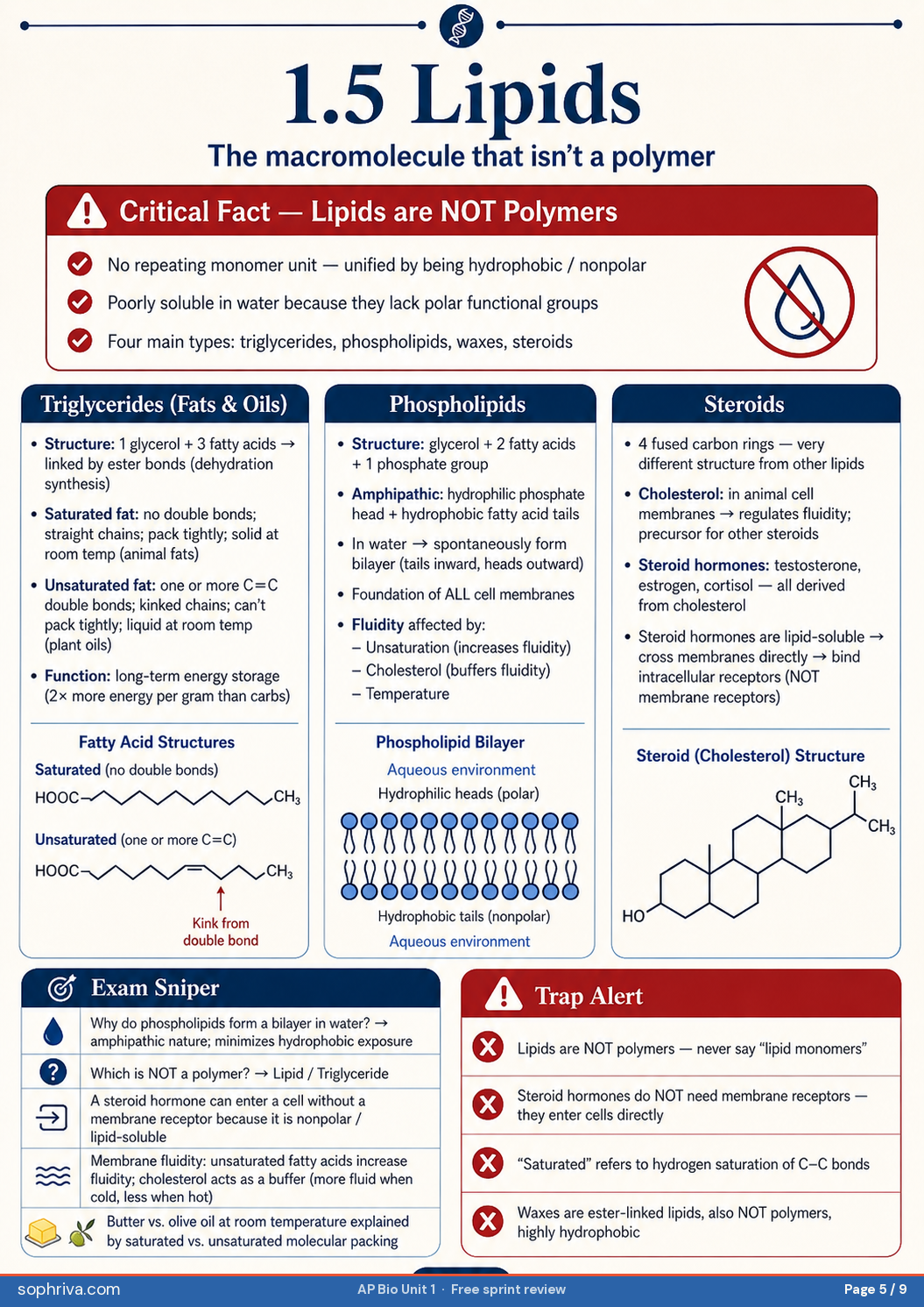 1.5 Lipids: Why lipids are NOT polymers. Triglycerides, phospholipids, steroids, and why steroids skip transport proteins.
