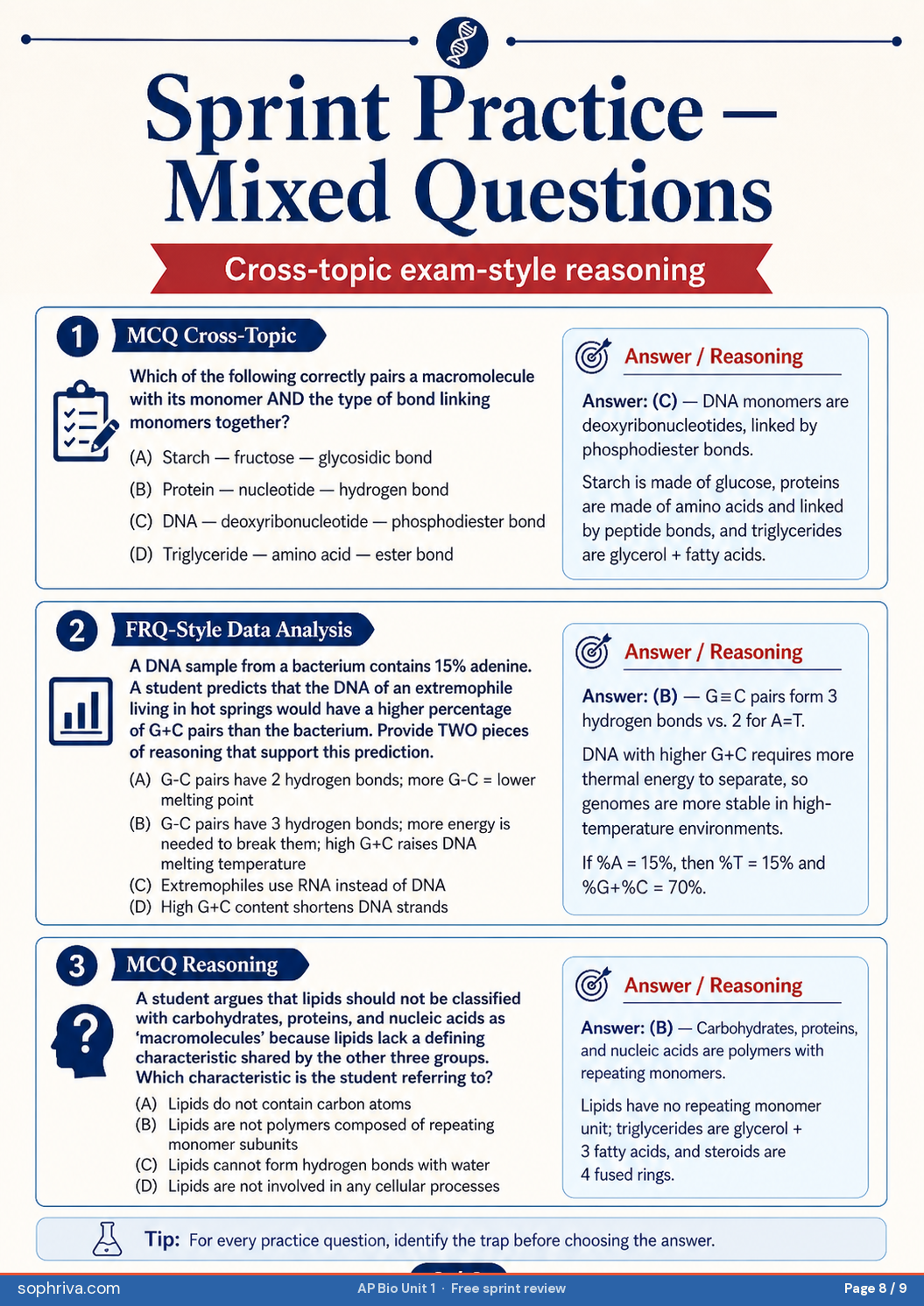 Sprint Practice — Mixed Questions: Three cross-topic practice items mixing macromolecules, DNA chemistry, and the lipid-not-a-polymer trap.