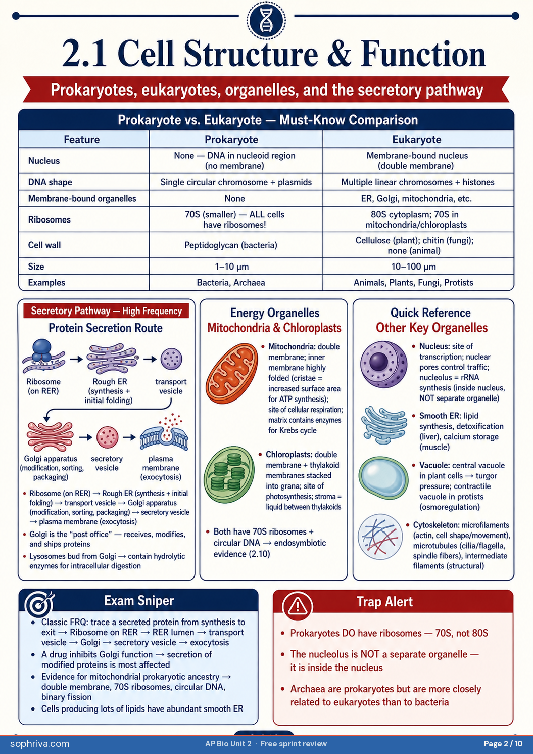 2.1 Cell Structure: Organelles in prokaryotes vs eukaryotes, comparing organelle inventories and the nuclear membrane distinction.