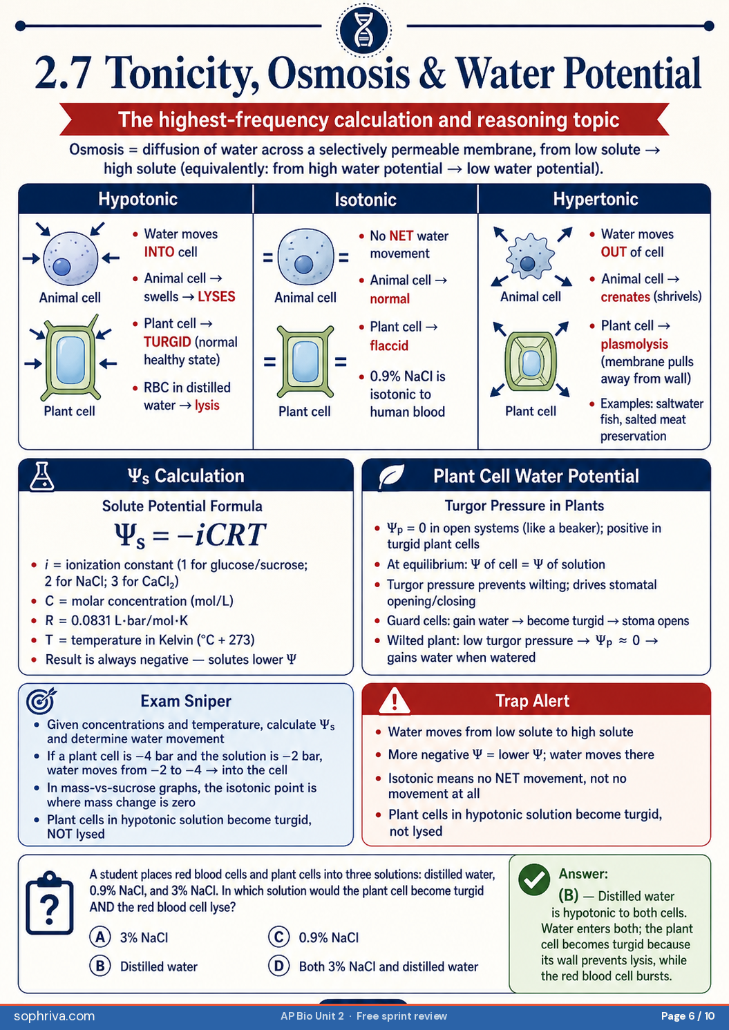 2.5–2.6 Passive Transport: Simple diffusion, facilitated diffusion, channel proteins, no-ATP rules.