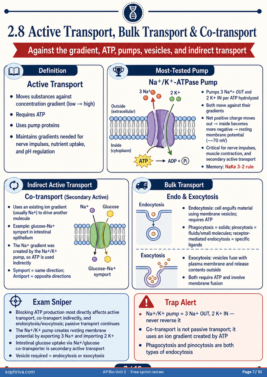 2.7 Tonicity & Osmosis: Hypotonic / hypertonic / isotonic with the plant-vs-animal cell behavior grid.