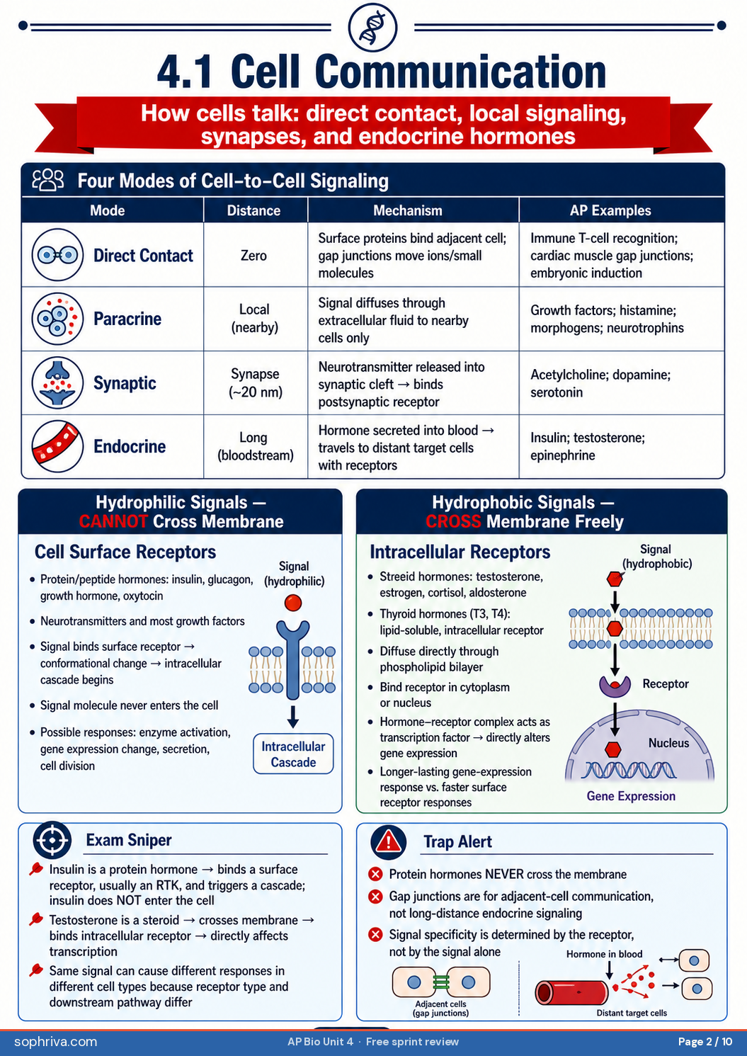 4.1 Cell Communication: Three modes of cell signaling: direct contact, paracrine, endocrine — with hormone-type rules.
