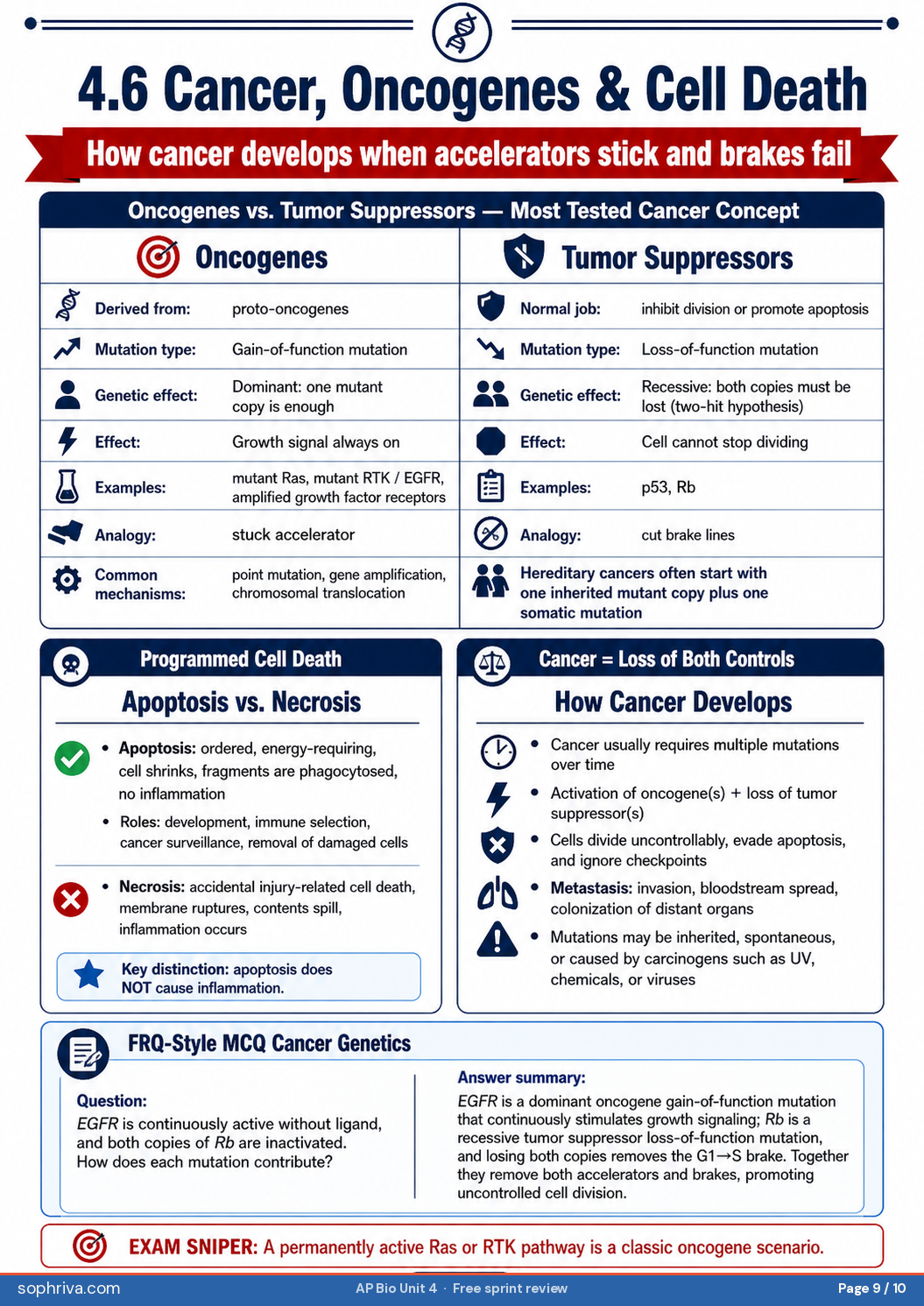 4.6 Oncogenes & Tumor Suppressors: Why oncogenes are dominant gain-of-function and tumor suppressors are recessive loss-of-function.