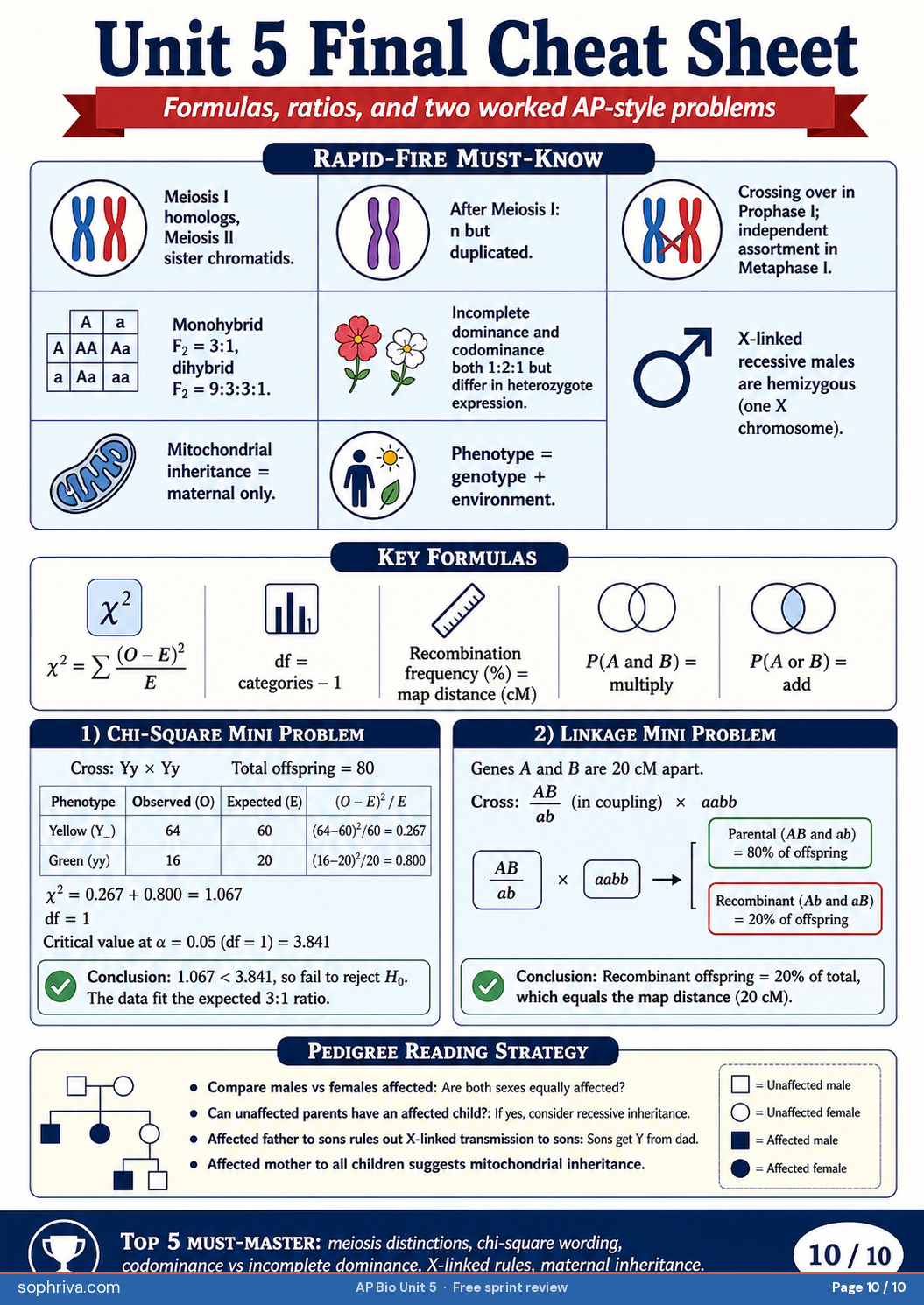 Final Review — Traps + Checklist: The complete language and probability shortcut list for Unit 5 plus pre-exam self-check.