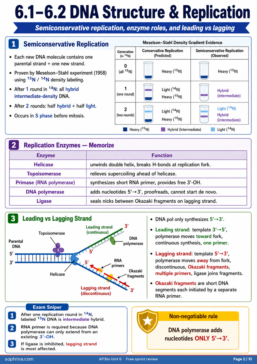 6.1 DNA Structure & Replication: Antiparallel double helix, semiconservative replication, leading and lagging strand mechanics.