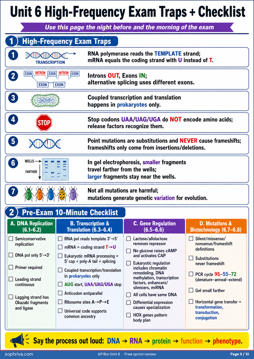 6.7 Mutations: Substitution, insertion, deletion — and which cause frameshifts. Silent, missense, nonsense outcomes.