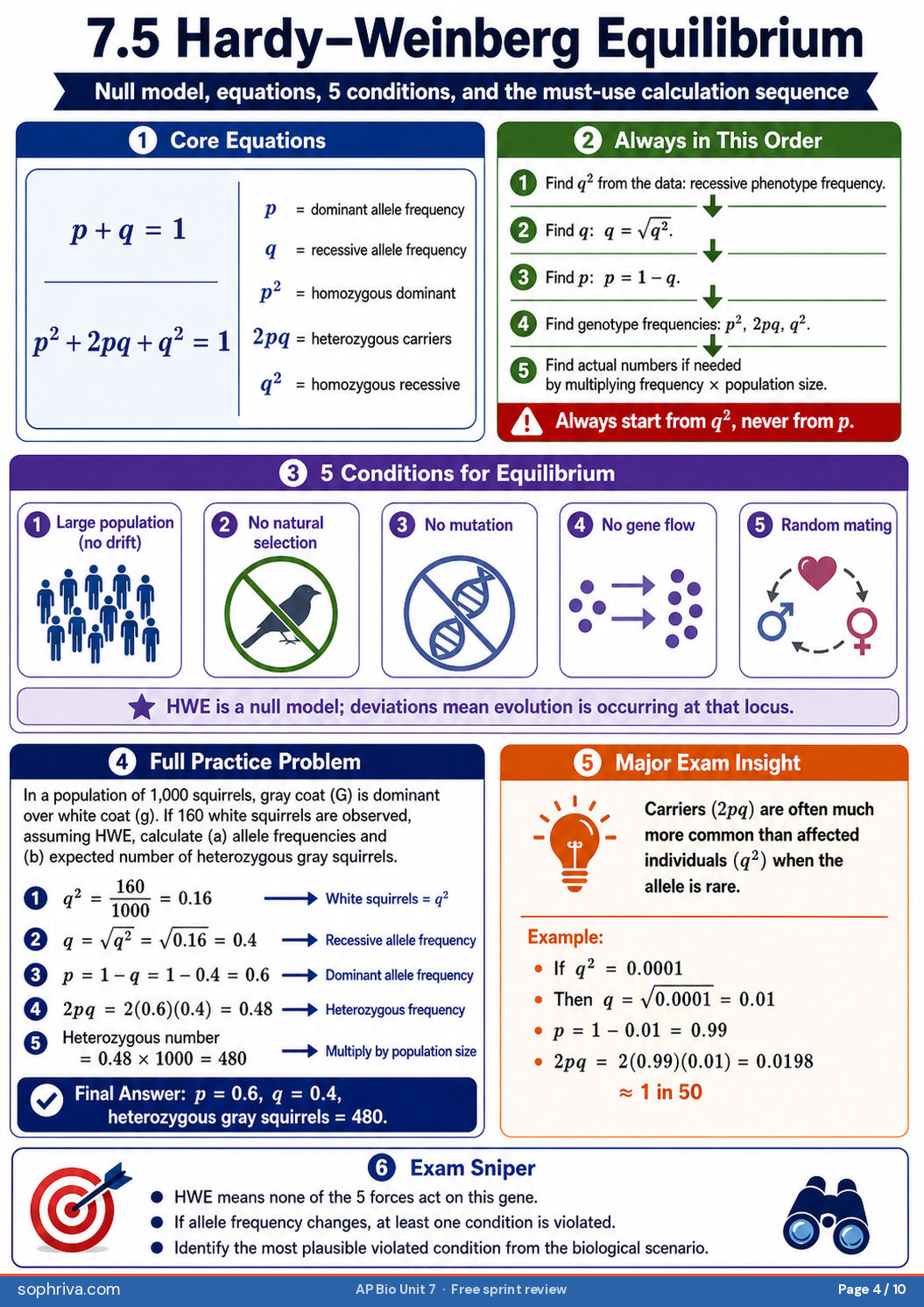 7.4 Population Genetics & Drift: Genetic drift, bottleneck effect, founder effect — and why small populations evolve fastest.