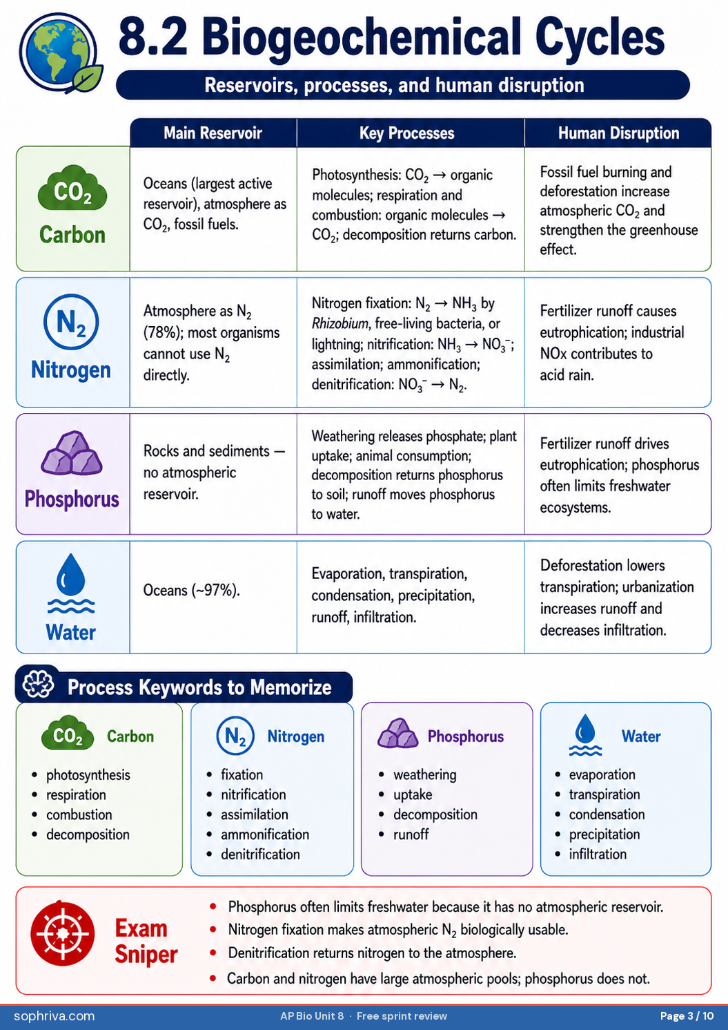 8.2 Energy Flow & Trophic Pyramids: 10% energy transfer rule, food chains vs food webs, biomass vs energy pyramids.